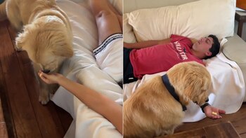 En el video, Narco no