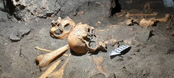 Estos productos virtuales del contexto