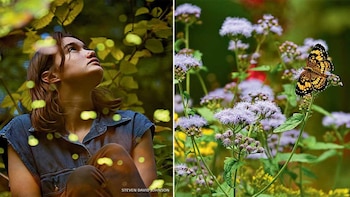 Maggie reflejada en el agua del estanque (NWF, Steven David Johnson)