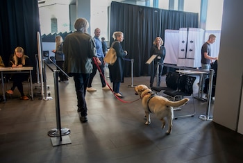Votantes y trabajadores electorales dentro de un colegio electoral en el Ayuntamiento de Reikiavik, en Islandia. (Marco Di Marco/Foto AP)