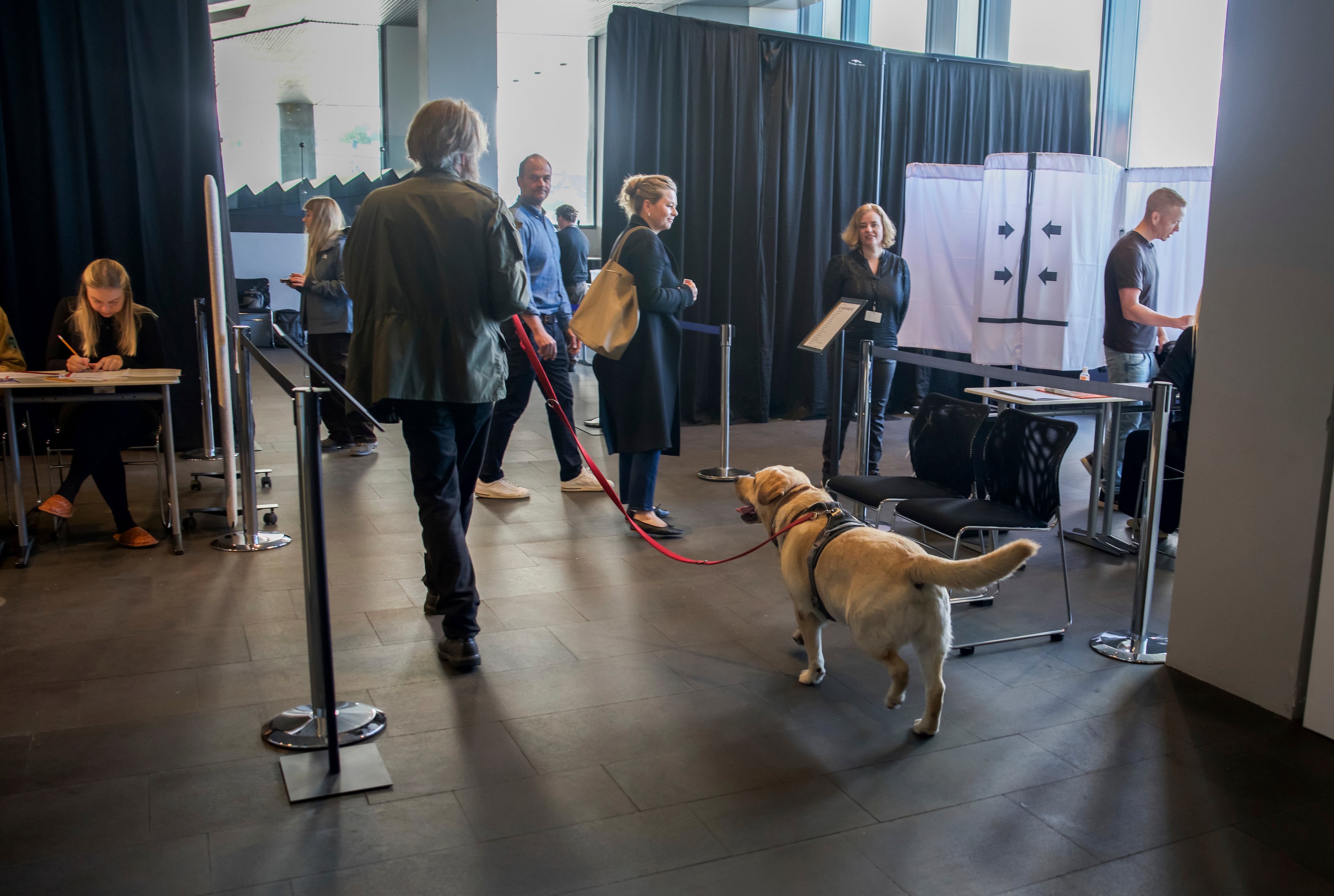 Votantes y trabajadores electorales dentro de un colegio electoral en el Ayuntamiento de Reikiavik, en Islandia. (Marco Di Marco/Foto AP)