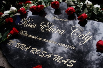 En 14 años, el feminicidio de Rosa Elvira Cely derivó en una ley pionera para combatir la violencia contra las mujeres en Colombia - crédito Mario Franco