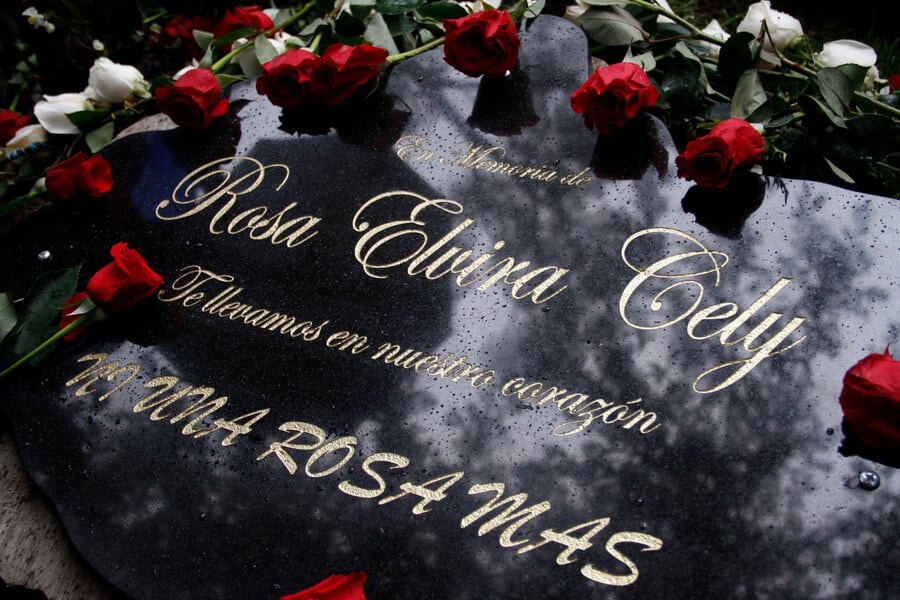 En 14 años, el feminicidio de Rosa Elvira Cely derivó en una ley pionera para combatir la violencia contra las mujeres en Colombia - crédito Mario Franco/Colprensa