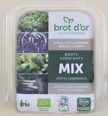 Autoridades alertan sobre la presencia