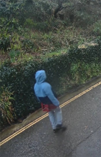 Una nueva imagen de quien