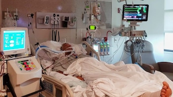 Una "bacteria come carne" ya causó 7 muertes en la costa del Golfo: cómo evitar la infección
