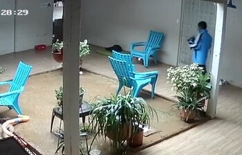 Ladrón Fundación Corazón Gatuno Cali