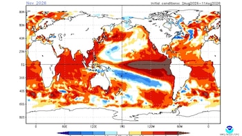Súper El Niño: elevan al 95% la probabilidad de un evento muy fuerte y advierten riesgos climáticos