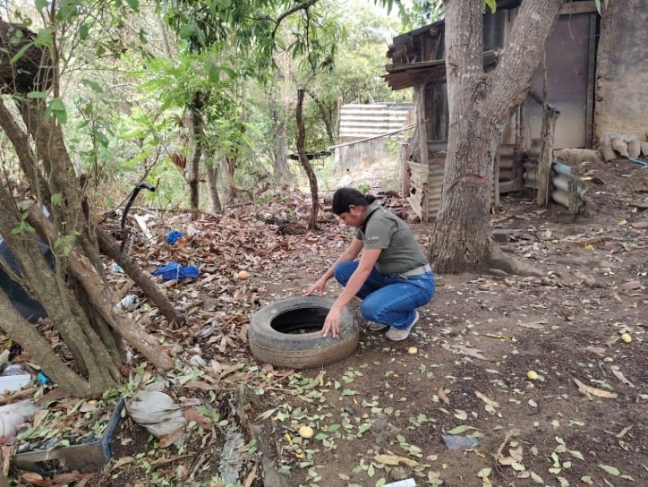 La frontera con Paraguay, Bolivia y Brasil, junto con rutas comerciales y corredores productivos, facilitó históricamente el ingreso y la circulación del virus del dengue.