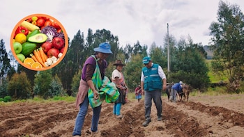 Las verduras es el principal factor de la inflación.