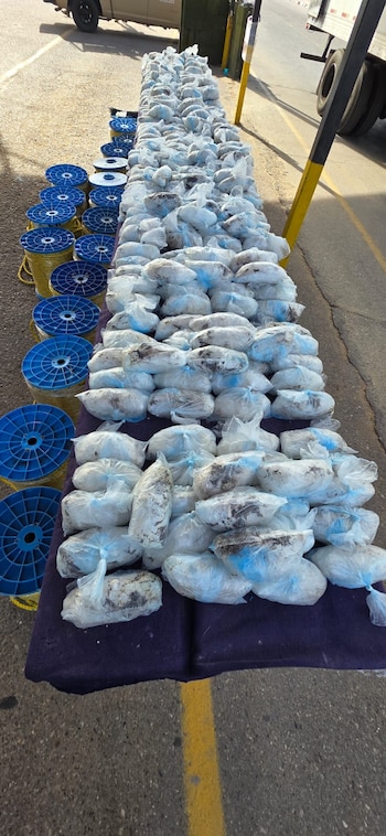 Paquetes de cristal asegurados tras