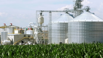 La Casa Blanca impulsa una ampliación de exenciones de biocombustibles nacionales