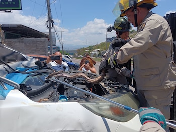El rescate fue solicitado por el propietario del vehículo tras descubrir la serpiente al revisar el motor. (FOTO: La Tribuna)