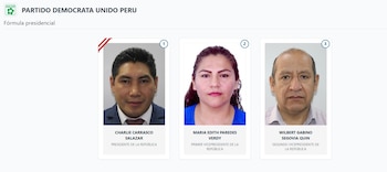Lista de vicepresidentes en Perú 2026: estos son los acompañantes de cada candidato: Captura: ONPE.