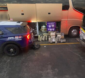 Marihuana autobús Guanajuato