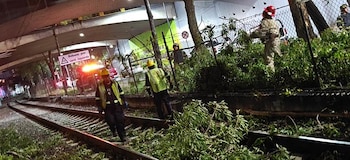 Trabajadores con chalecos reflectantes y cascos despejan ramas de las vías de un tren por la noche, bajo un paso elevado con señalización vial