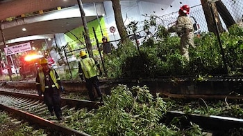 Tren Ligero “El Ajolote” suspende servicio por caída de rama y rompe ruta a Xochimilco