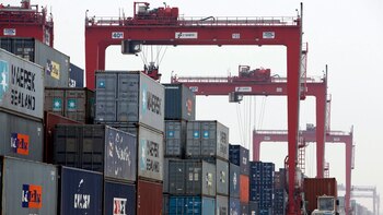 Cómo impactó la pandemia en