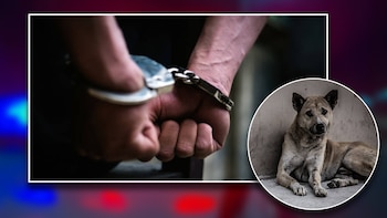 Cae supuesto implicado en caso