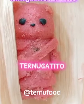 Ternufood mezcla cultura japonesa y