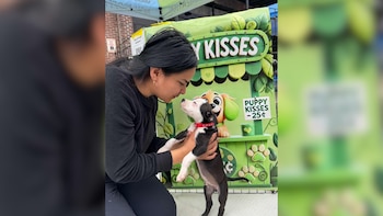 Una mujer de cabello oscuro se arrodilla sosteniendo un cachorro blanco y negro con collar rojo, mirándolo con cariño frente a un puesto verde de "Puppy Kisses"