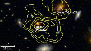 El telescopio James Webb detectó