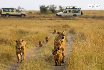 Imagen ZJMORPTTQRECJDIC5FLMKNAWKQ