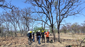 Denuncian a familia dueña de la Universidad Autónoma de Guadalajara por deforestar el bosque Nixticuil
