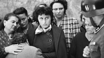 El Sumo Pontífice destacó "Roma,