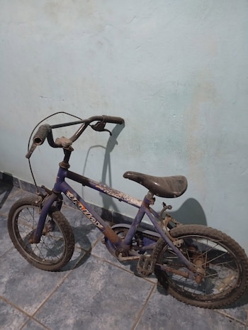 La bicicleta de Loan