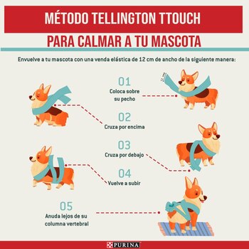 Imagen cedida por Purina