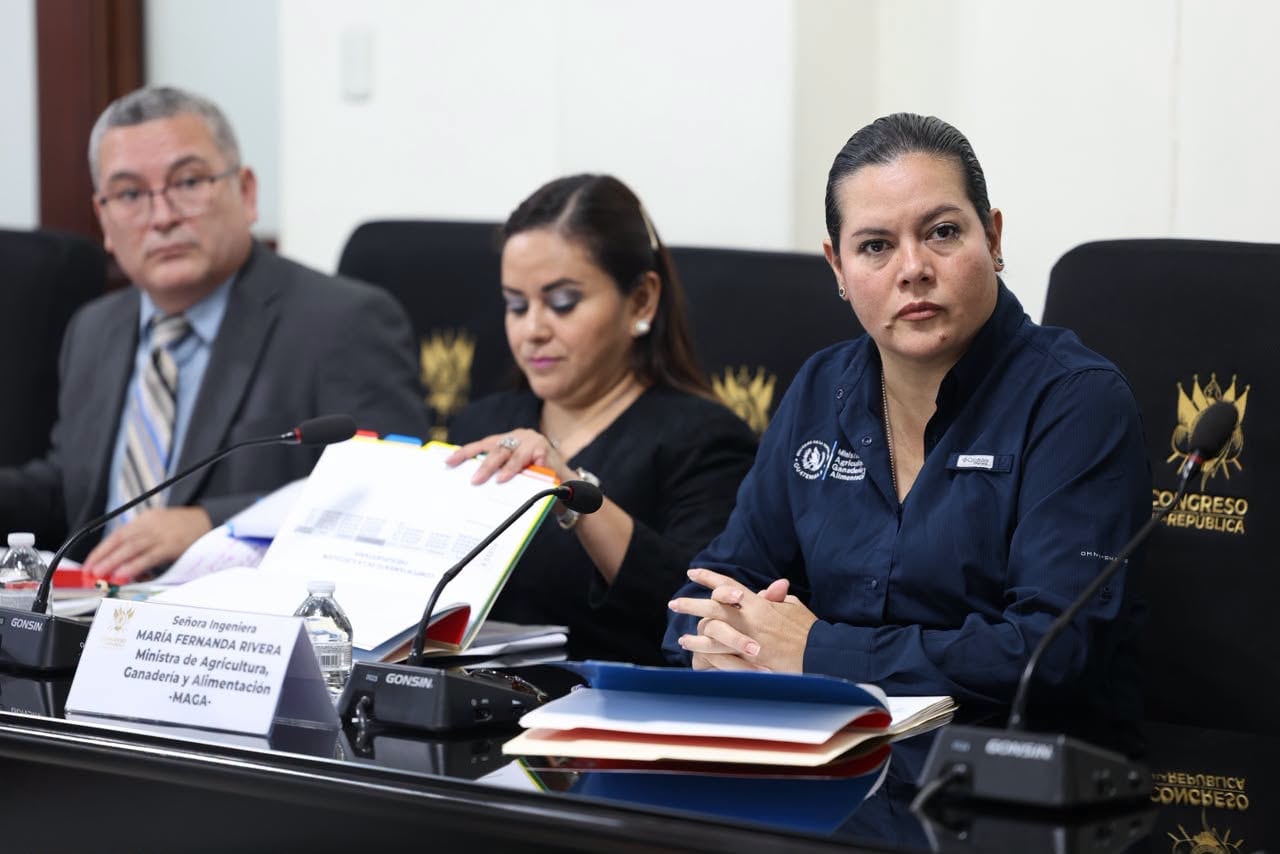 Integrantes del Ministerio de Agricultura, Ganadería y Alimentación asisten a una reunión de trabajo con documentos y carpetas en el Congreso de la República de Guatemala. (Congreso de la República de Guatemala)