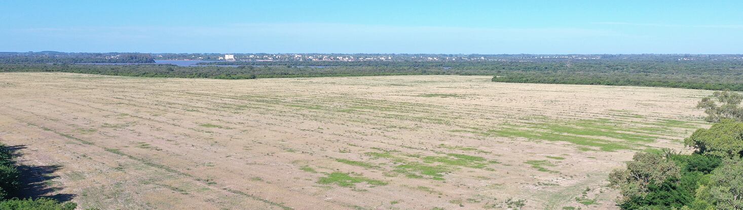 El lugar en Paysandú donde la empresa HIF prevé construir planta de hidrógeno verde (HIF)