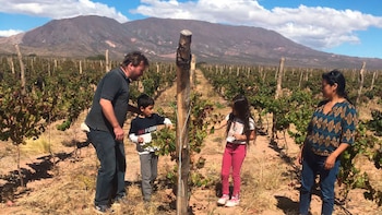 BODEGA COLOME SALTA - Thibaut Delmotte