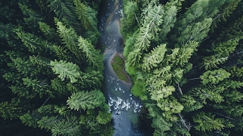 El Dr. Leung señaló que