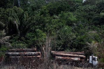 Vista de camión que transporta
