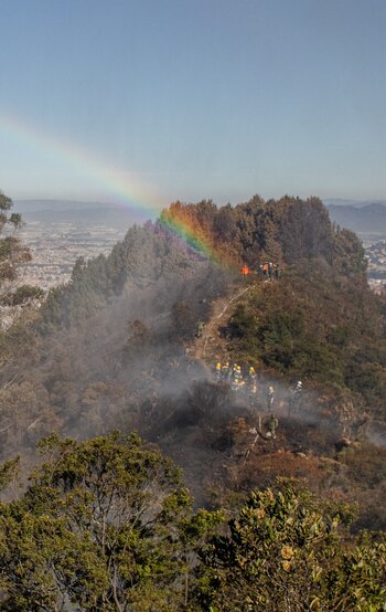 Luego de más de 48 horas está cesando el incendio en los cerros orientales de Bogotá - crédito Alcaldía de Bogotá