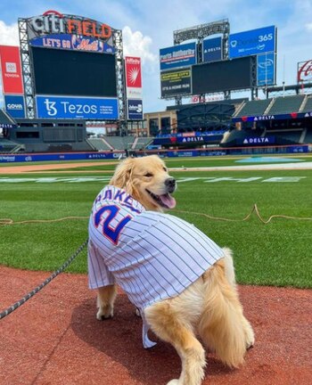 En TikTok cuenta con más