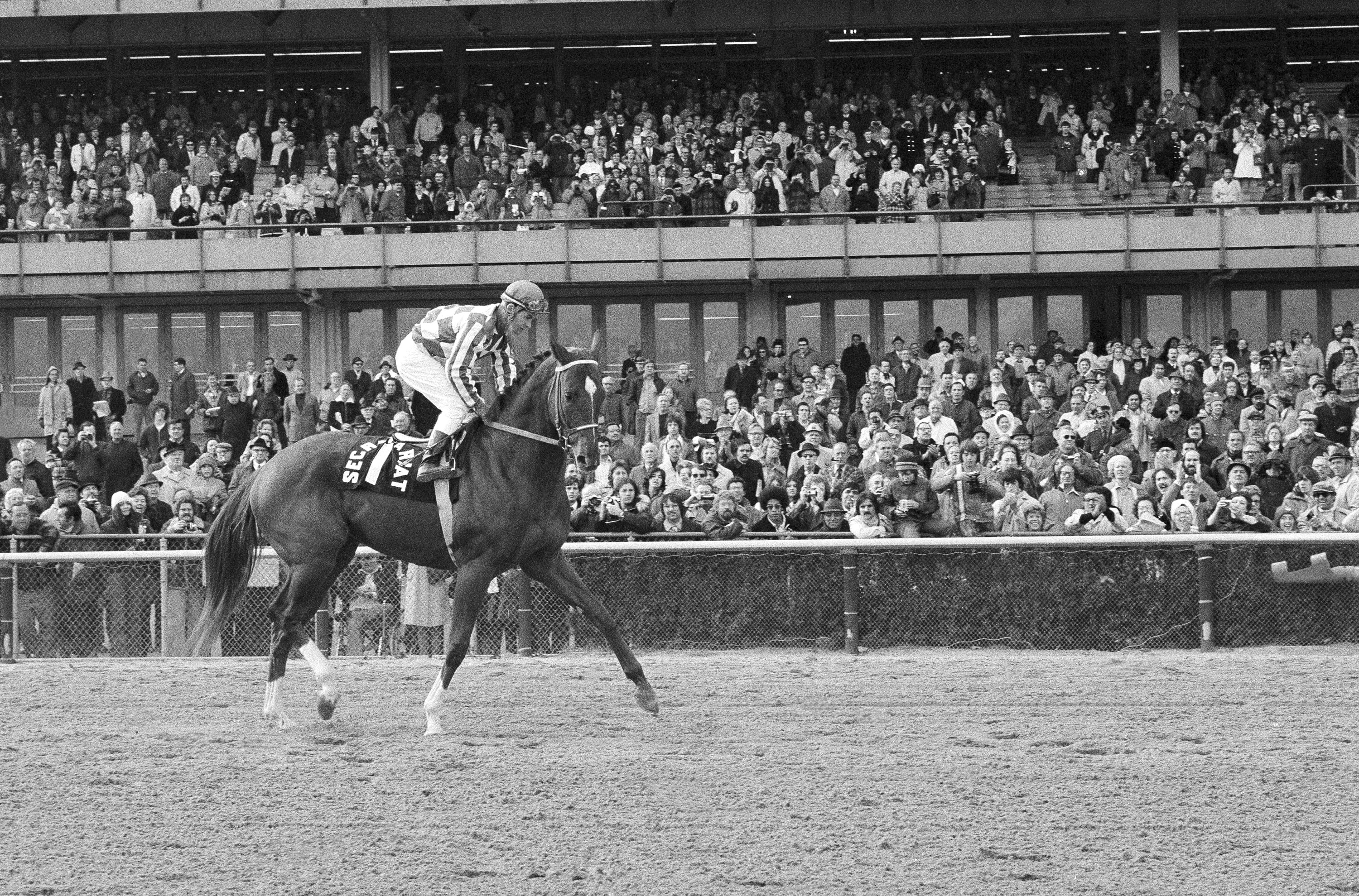 El campeón Secretariat con el jinete Ron Turcotte en Aqueduct Rack Track en Nueva York en su última aparición (AP Foto/Dave Pickoff, Archivo).
