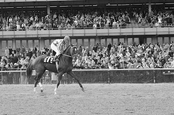 El campeón Secretariat con el jinete Ron Turcotte en Aqueduct Rack Track en Nueva York en su última aparición (AP Foto/Dave Pickoff, Archivo).