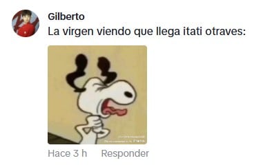 Los memes en los comentarios no tardaron en aparecer (Tiktok)