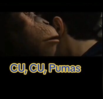 (Captura de pantalla)