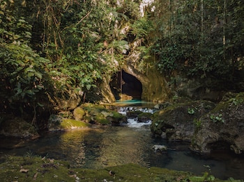 Cascada de agua cayendo sobre rocas marrones en un río rodeado por un denso bosque verde bajo un cielo azul brillante con nubes blancas
