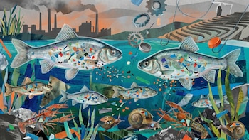 Estudios advierten que la presencia de microplásticos en agua dulce representa un riesgo para la cadena alimentaria mundial