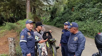 El felino fue trasladado a