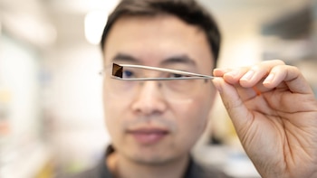 Desarrollan chip que puede borrarse y reprogramarse mediante luz