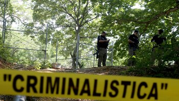 En tan sólo una semana