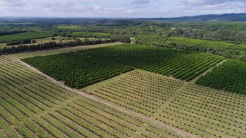 Sigue ampliándose el Paisaje Productivo