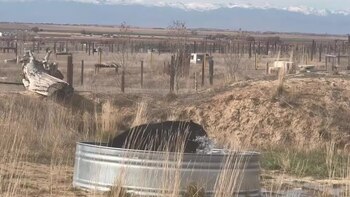 Las condiciones de maltrato impactaron