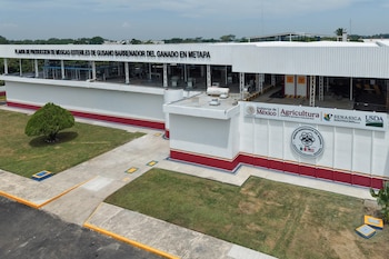 Inauguración de planta productora de moscas estériles